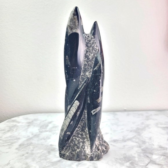 Orthoceras Fossil Home Decor Office Desk Bookend Display Black Gray Accent - Picture 3 of 16